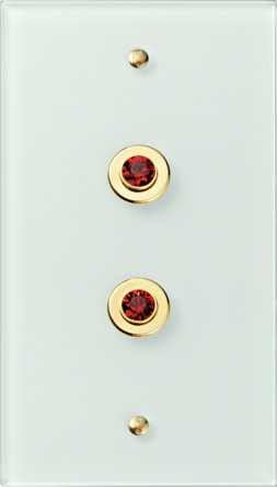 Berker TS Crystal 2 Gang, Siam/Gold Glossy Push Button