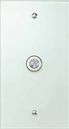 Berker TS Crystal 1 Gang, Crystal /Chrom/Glossy Push Button